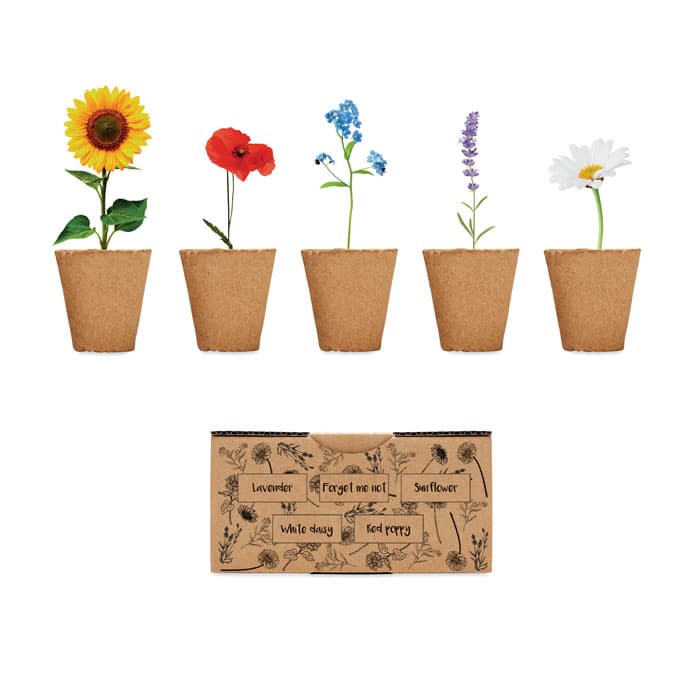 Kit de culture de fleurs