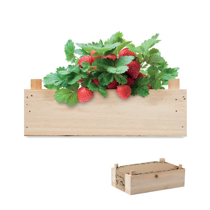 Graines de fraises dans une cai