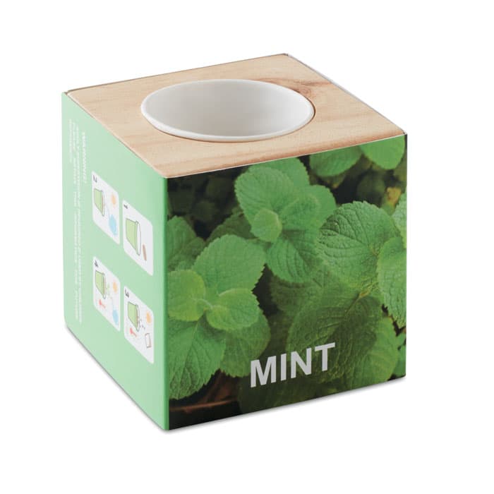 Pot en bois avec graine