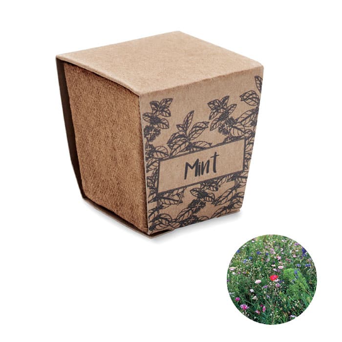 Kit de graines de menthe